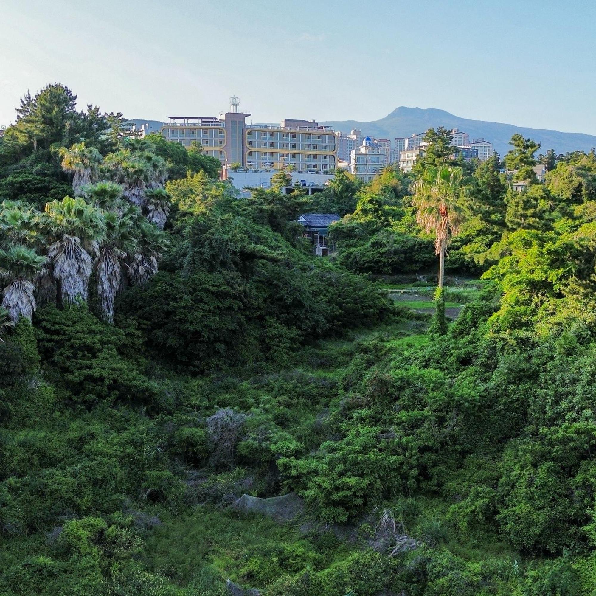 Hotel Goldone &
